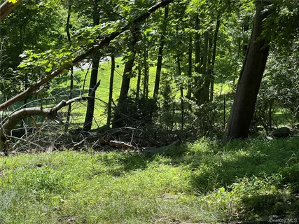 a view of outdoor space and a yard
