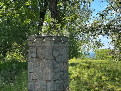 a view of a large tree with a yard