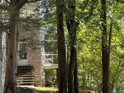 a view of a tree with a tree