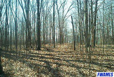 18500 Devall Road Spencerville, IN 46788 - Photo 1 of 3