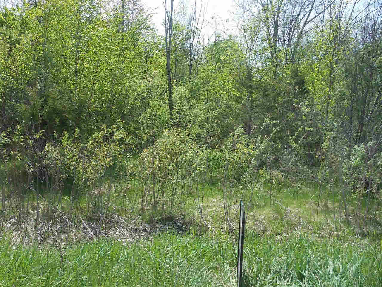 8573 Ellis Road Millington, MI 48746 - Photo 1 of 5