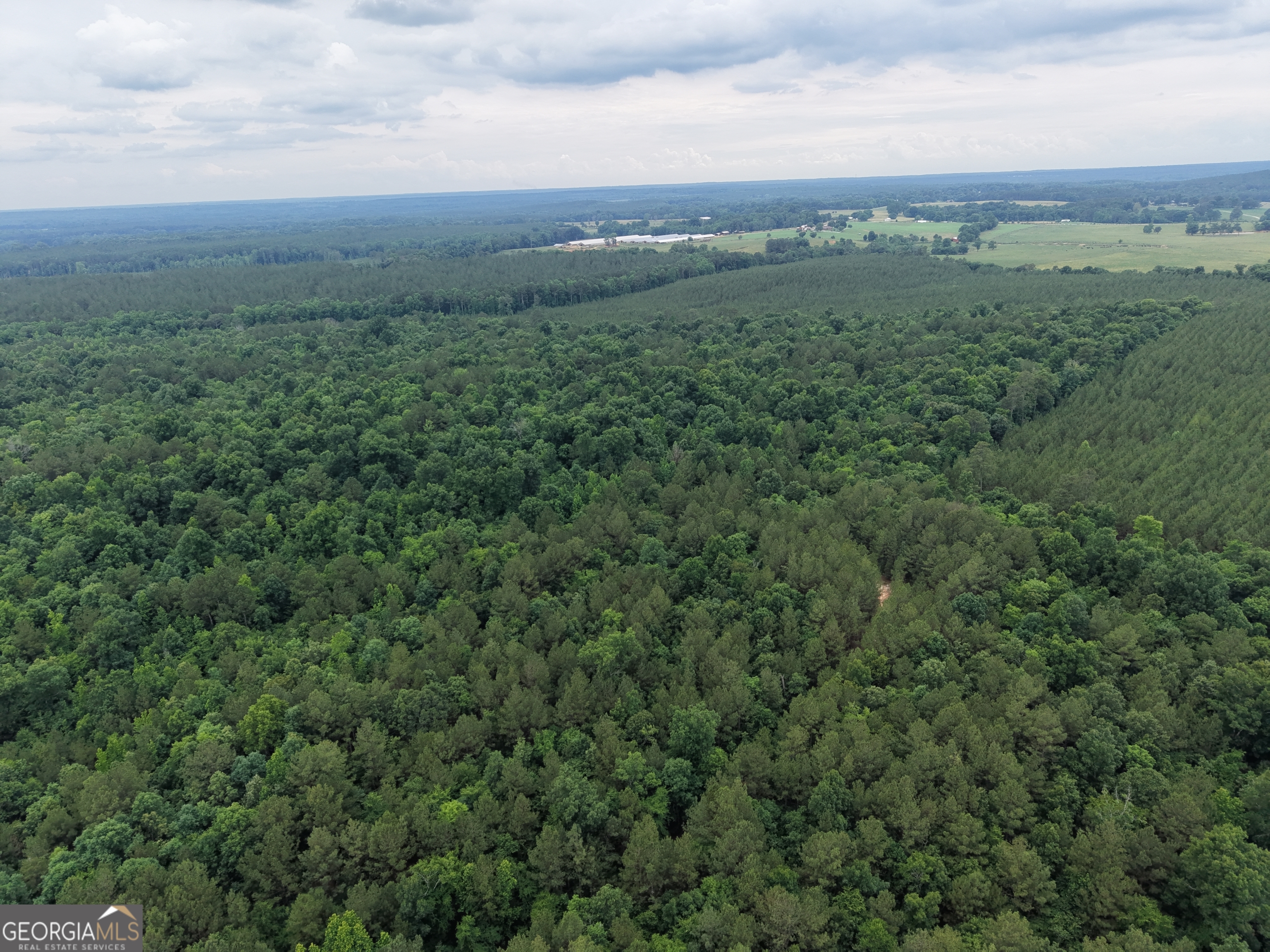 3 Bethesda Church Road Lexington, GA 30648 - Photo 6 of 60
