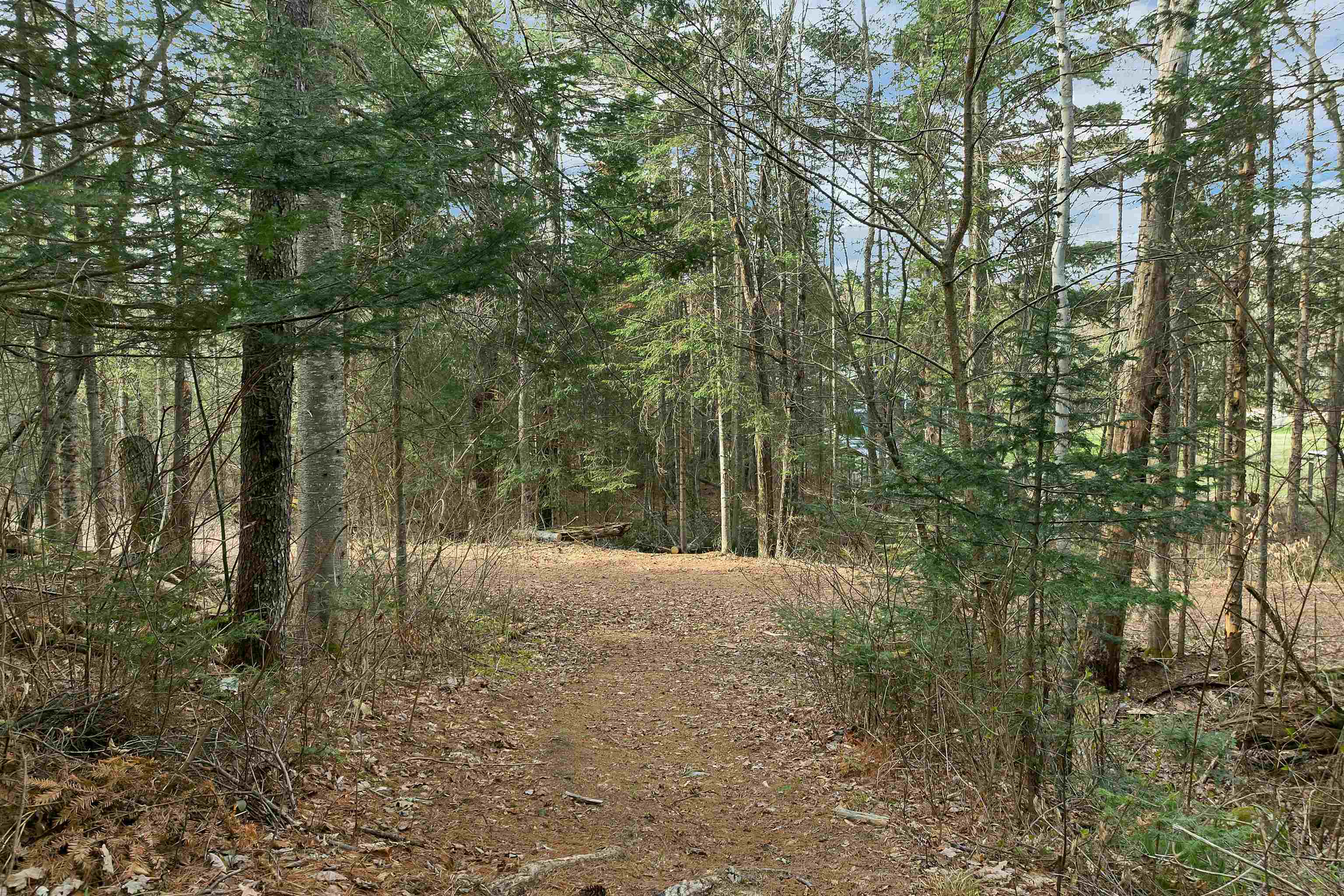 72 Black Bear Road Carroll, NH 03595 - Photo 50 of 57 Gallery Image 50