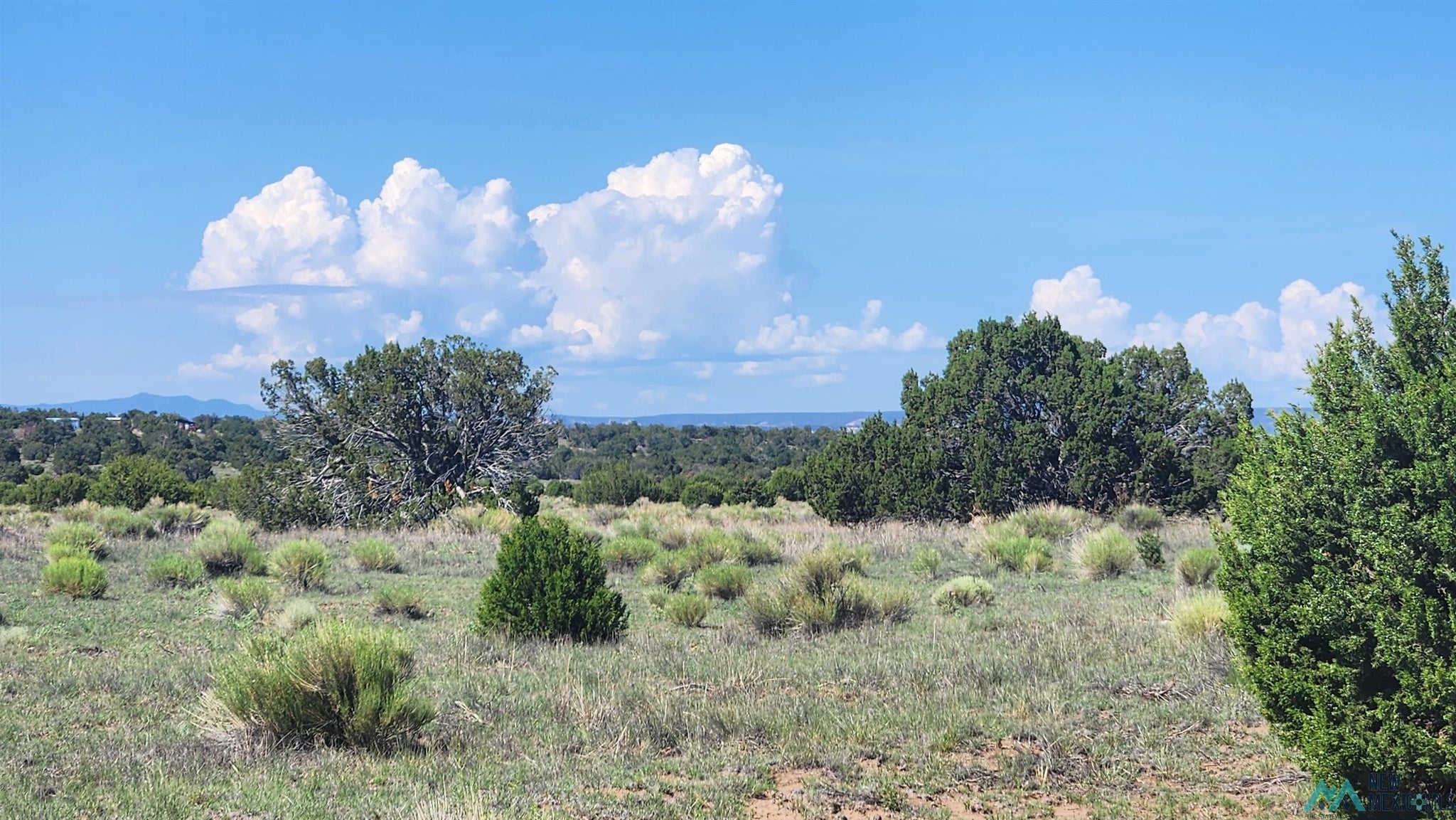 73 Tonto Pass Road Quemado, NM 87829 - Photo 8 of 10 Gallery Image 8