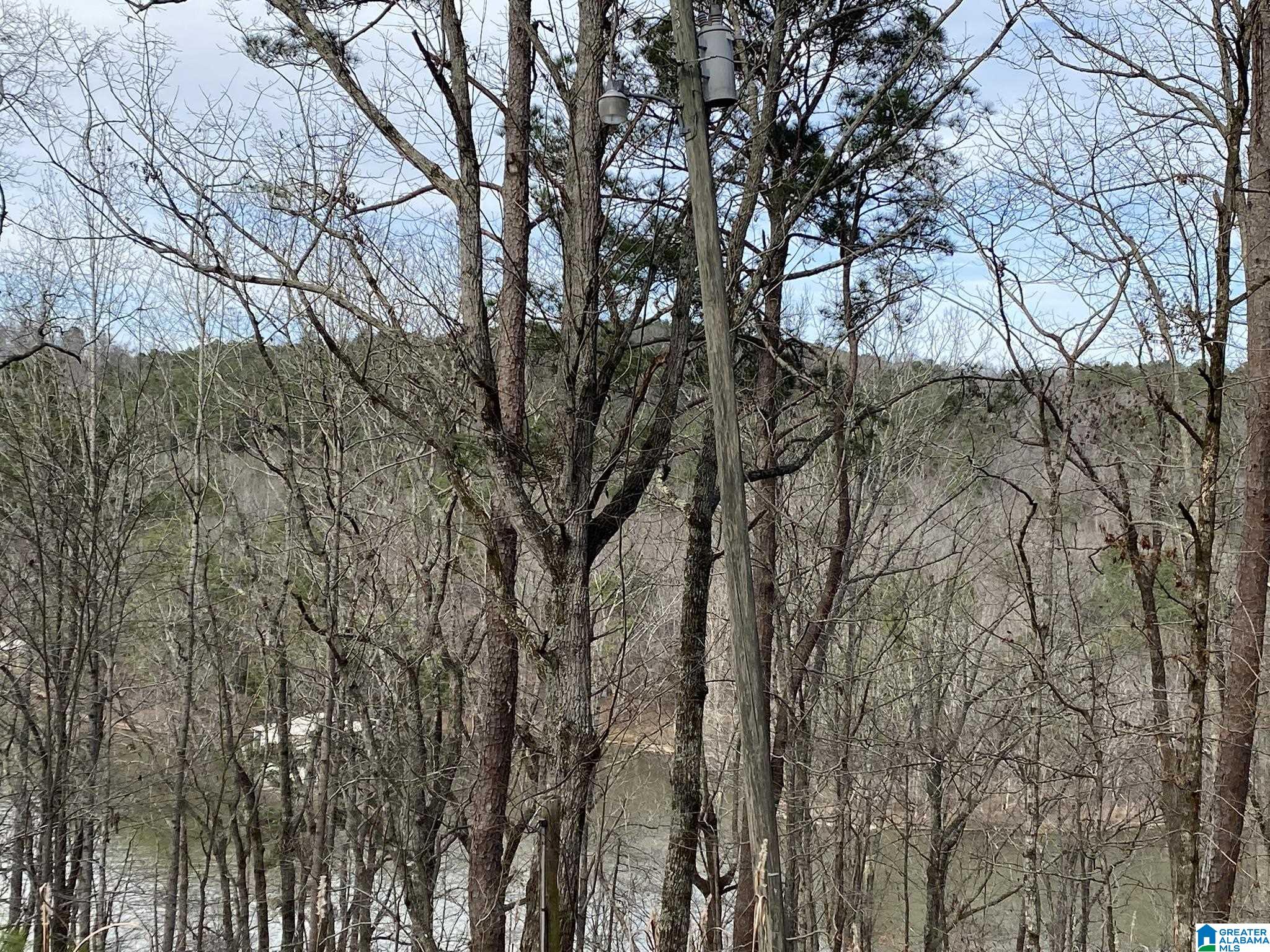 Mohawk Cliff Road, Unit 5 Ohatchee, AL 36271 - Photo 13 of 14