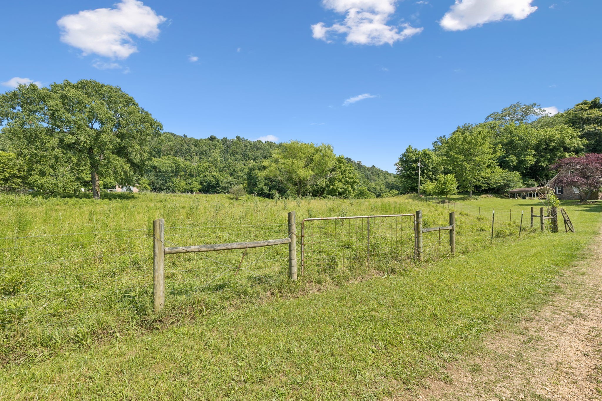 8663 Dog Branch Road Mount Pleasant, TN 38474 - Photo 34 of 42 a backyard of a house with lots of green space and lake view in back