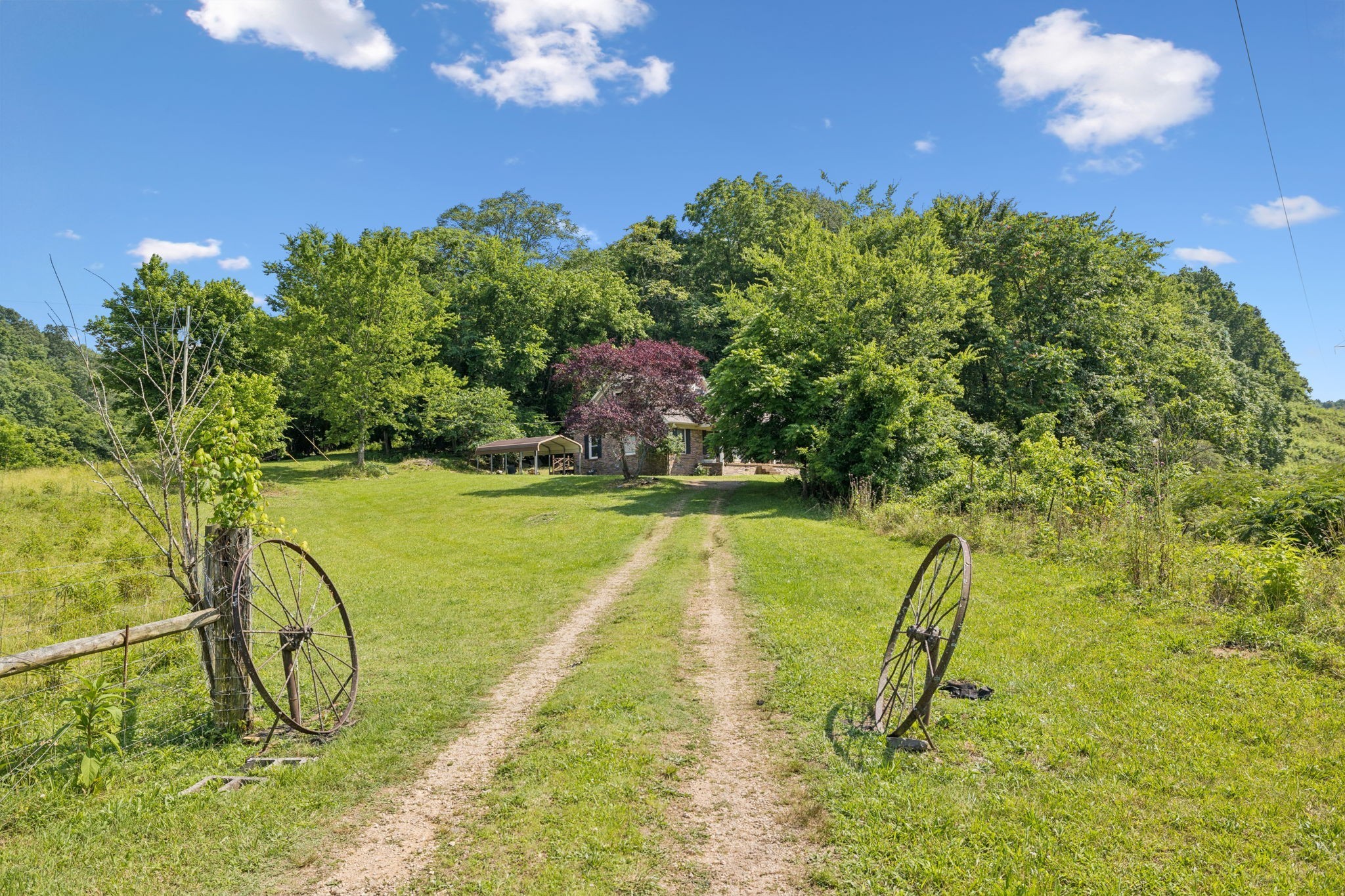 8663 Dog Branch Road Mount Pleasant, TN 38474 - Photo 35 of 42 a view of swimming pool