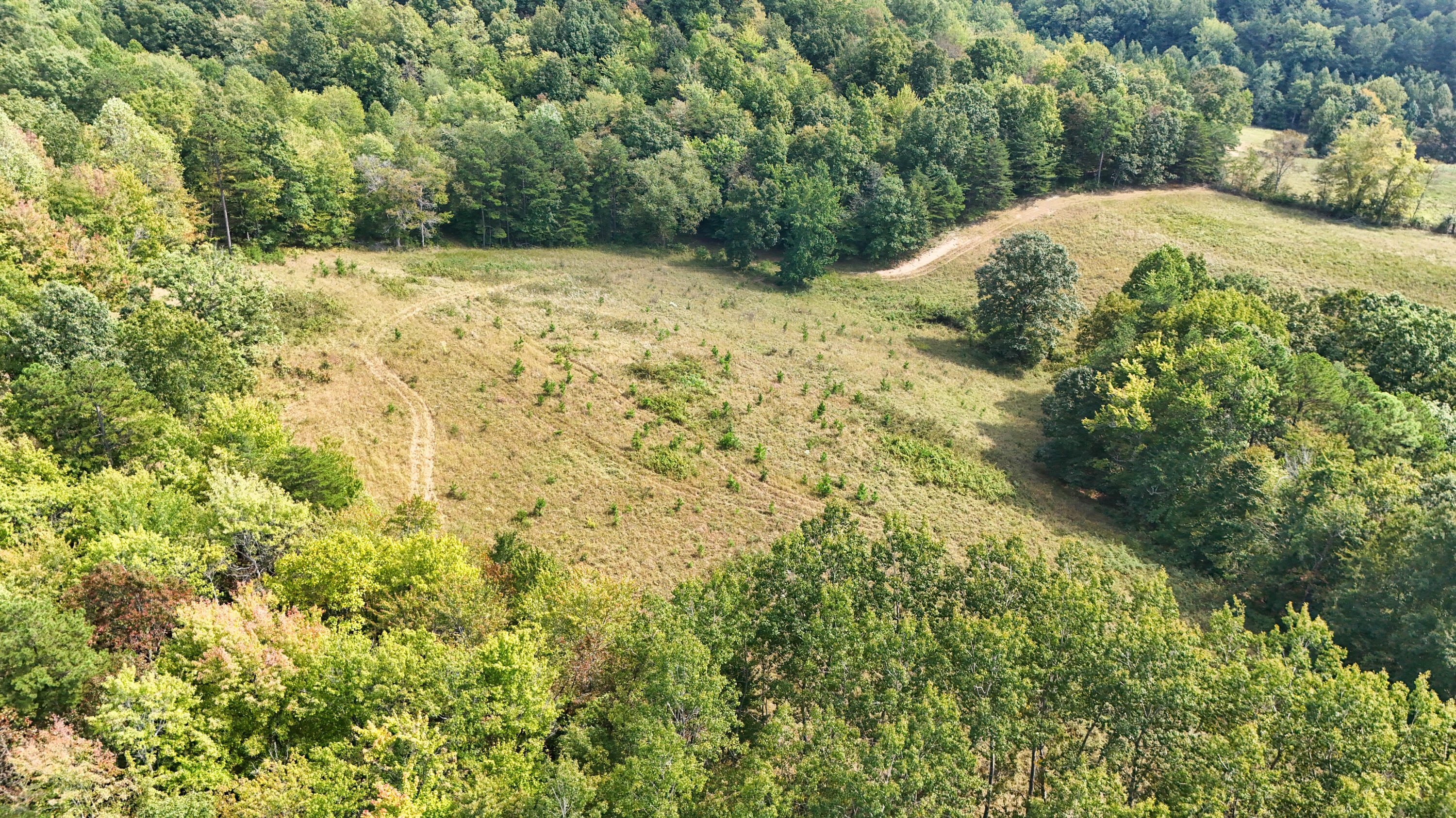 9999 Portersburg Road Manchester, KY 40962 - Photo 24 of 28 LightroomRealEstateEdits-17
