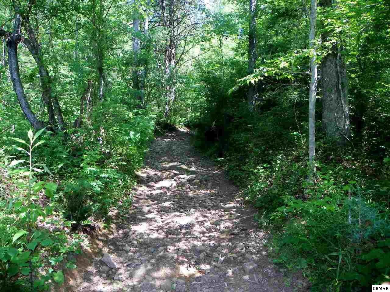 3 Obes Branch Road Sevierville, TN 37876 - Photo 9 of 33 Gallery Image 9