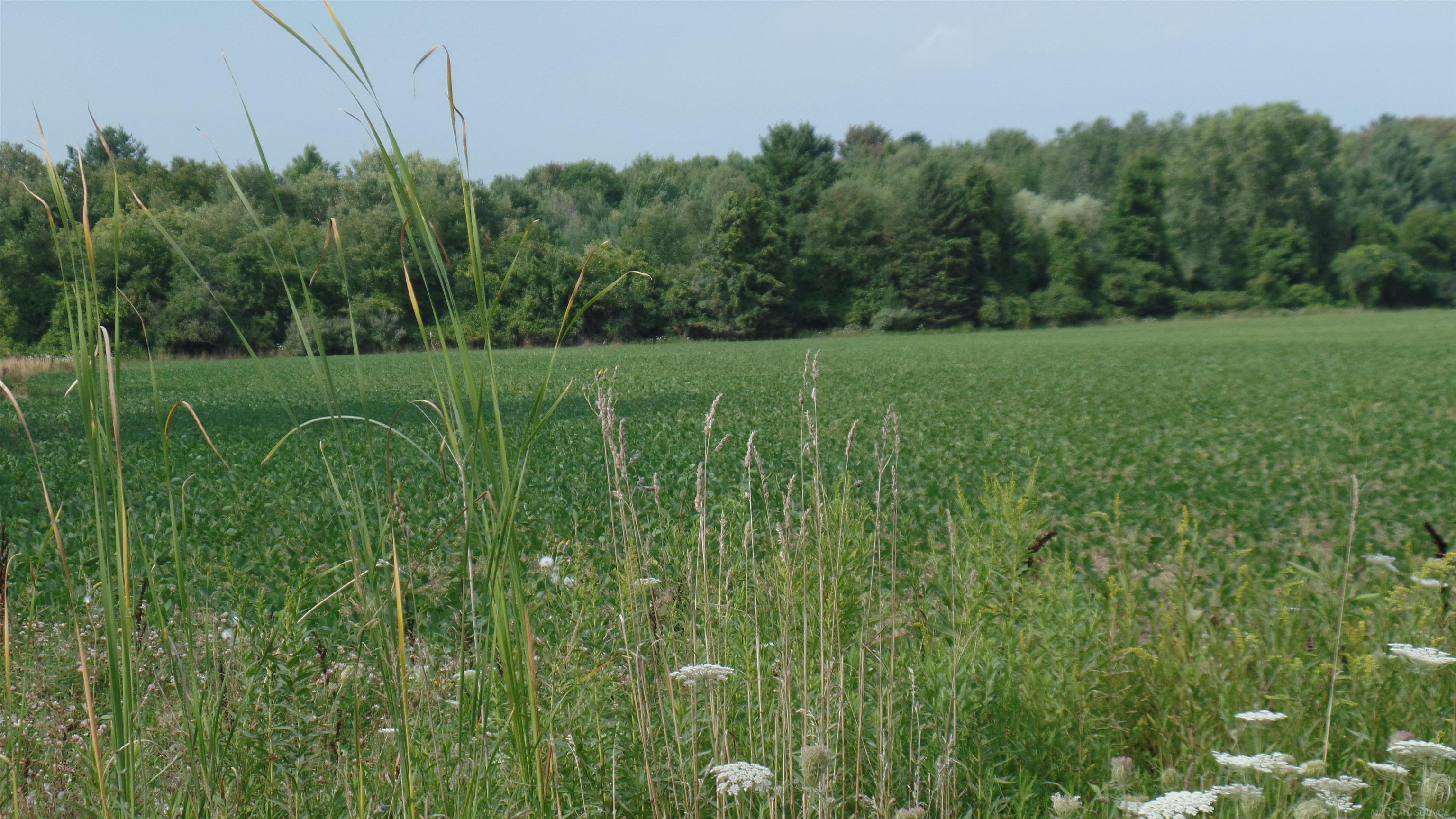0 French Line Road Carsonville, MI 48419 - Photo 16 of 25