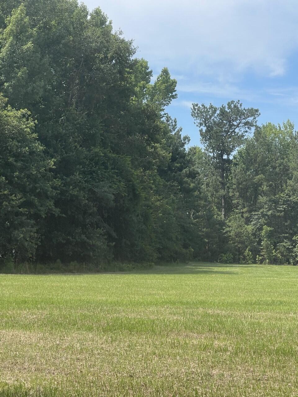 0 Mt Carmel Road Walterboro, SC 29488 - Photo 1 of 5 5 Mt Carmel