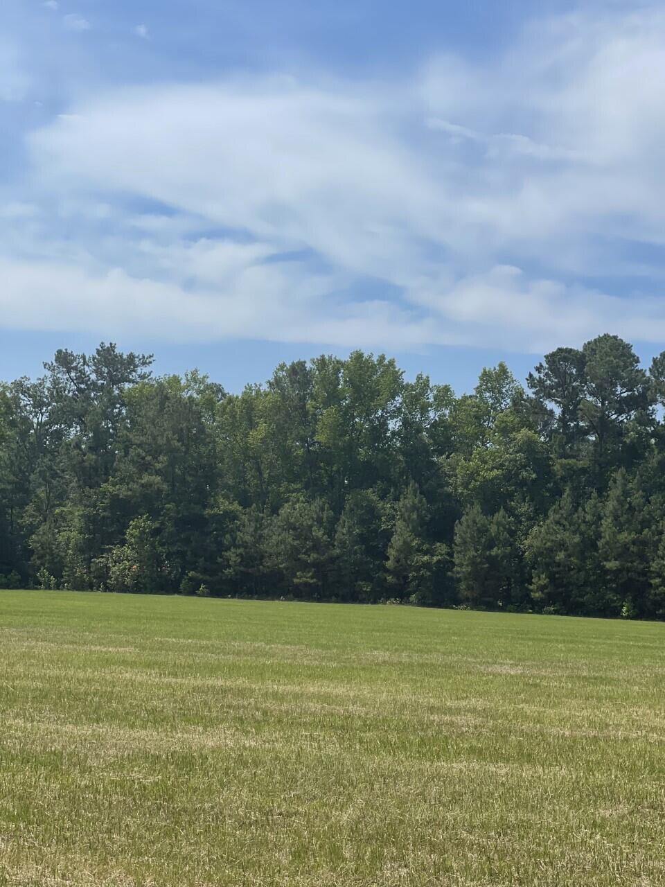 0 Mt Carmel Road Walterboro, SC 29488 - Photo 4 of 5 2 Mt Carmel