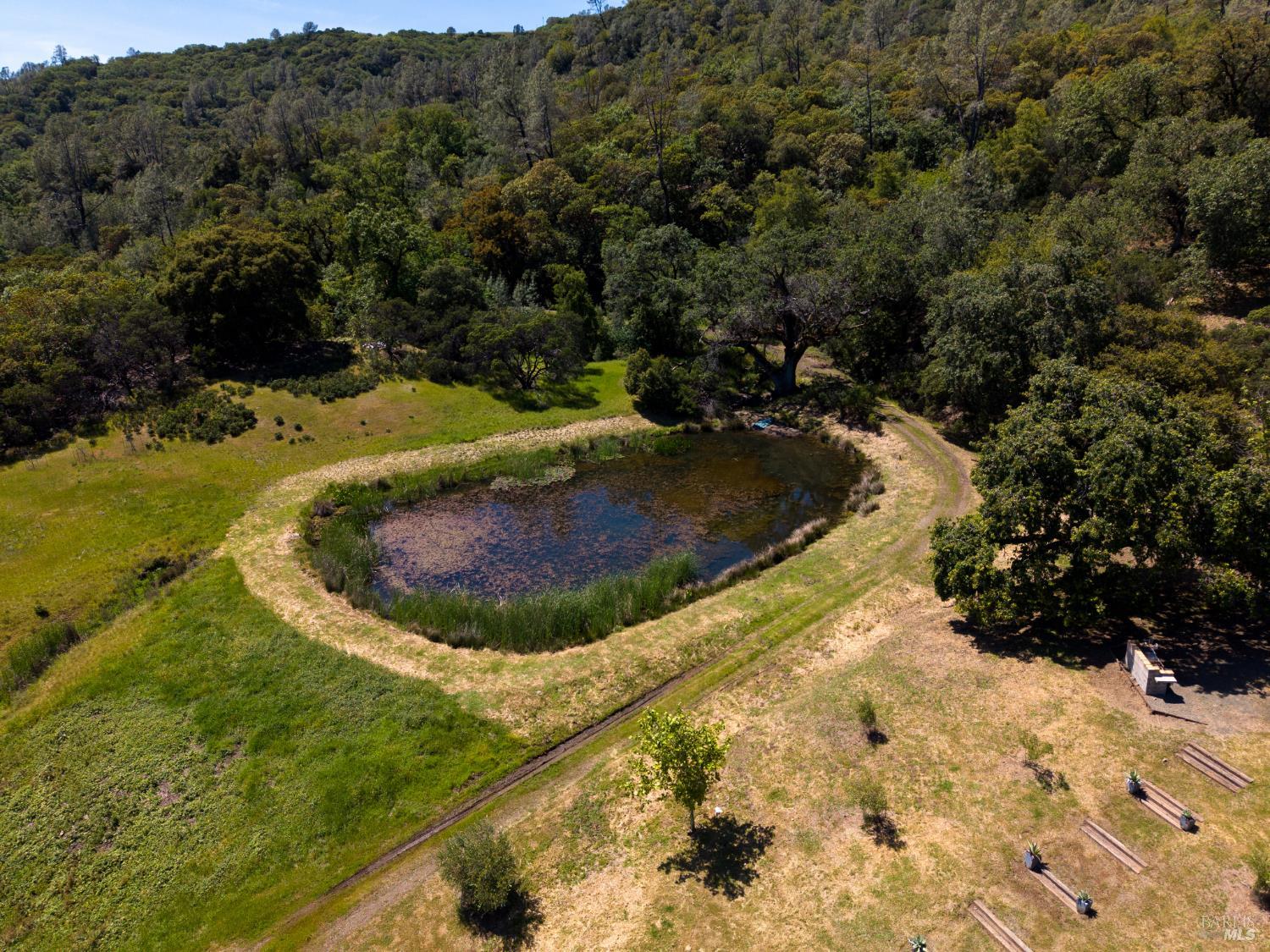 34021 Pine Mountain Road Cloverdale, CA 95425 - Photo 12 of 17