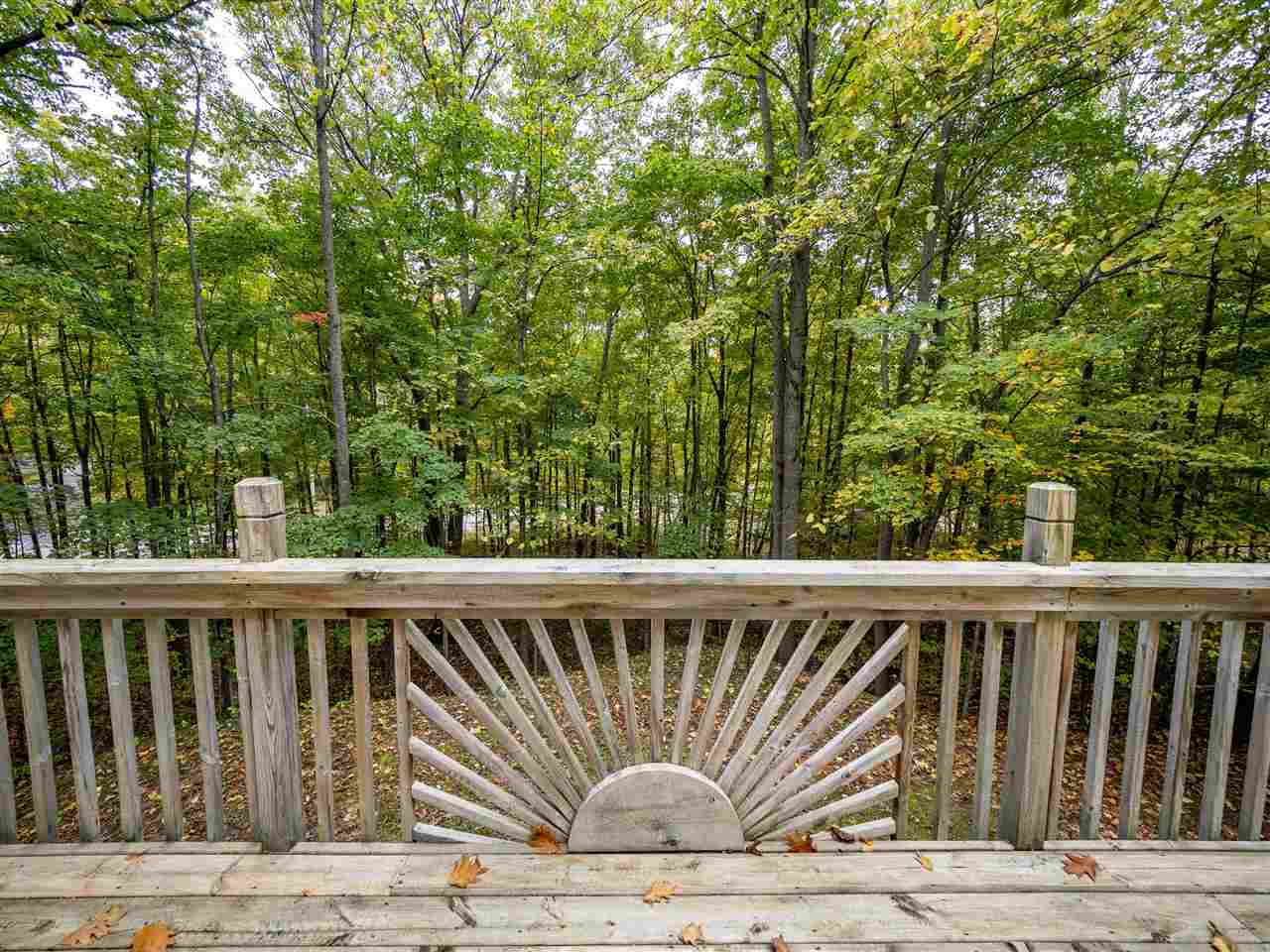 1787 East Old Mountain Road Cedar, MI 49621 - Photo 25 of 49 1894201-24.JPG