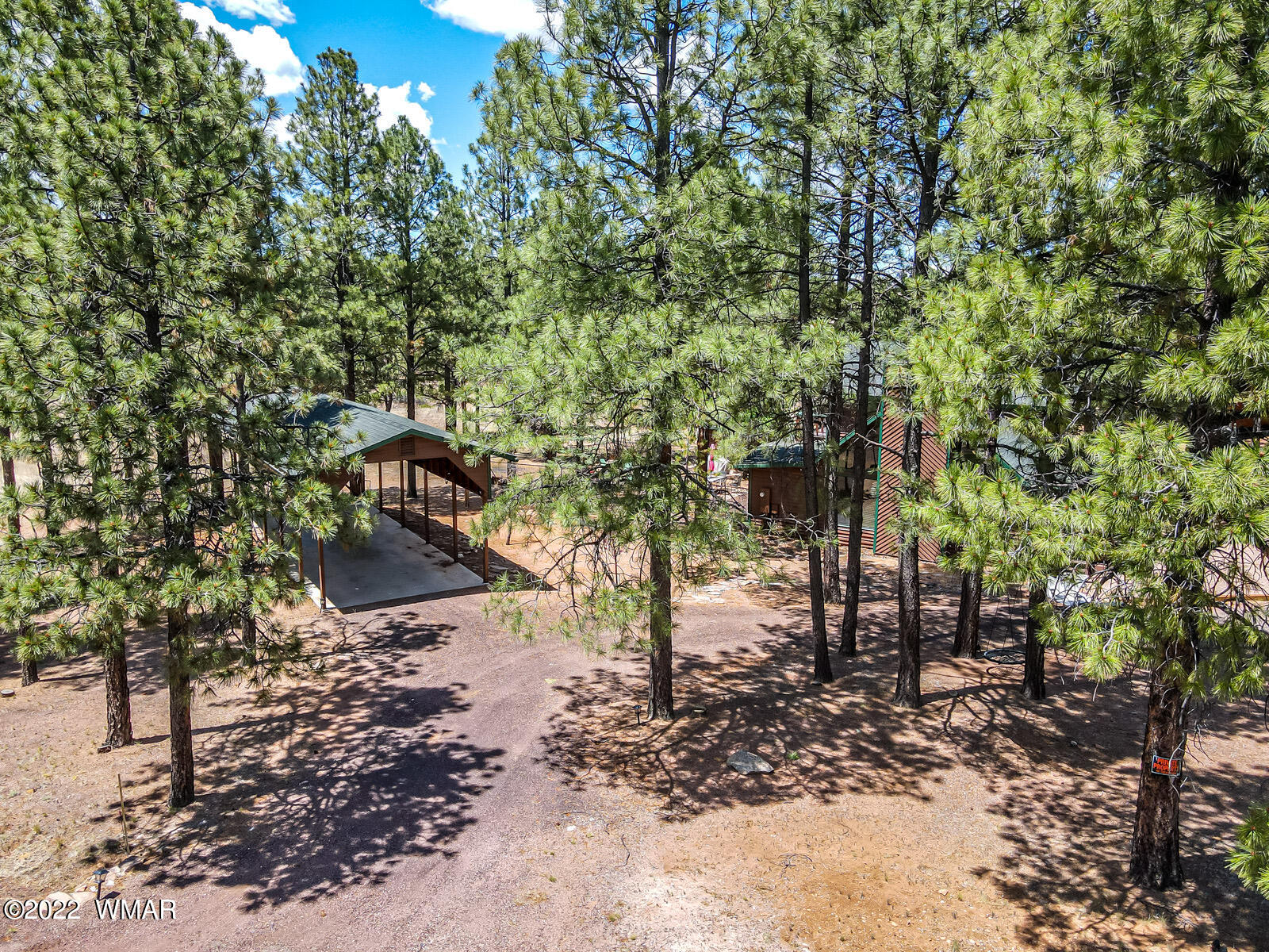 2846 Silver Dollar Street Overgaard, AZ 85933 - Photo 4 of 39