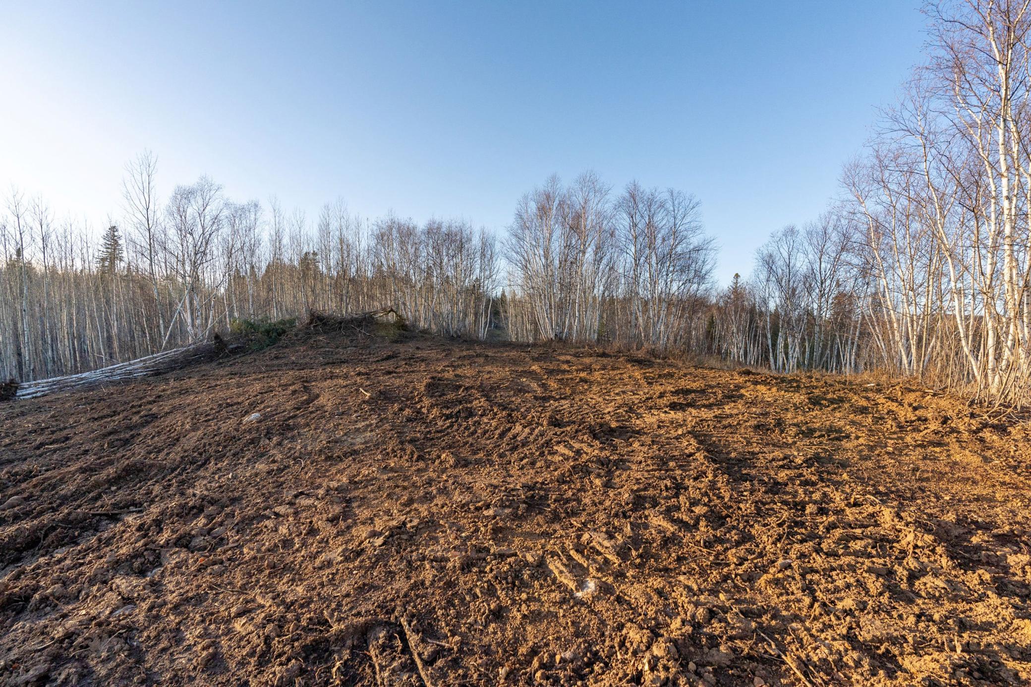 Tbd Ramsdell Heights Silver Bay, MN 55614 - Photo 14 of 29