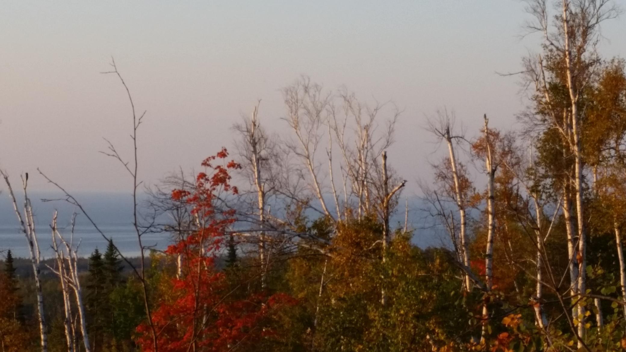 Tbd Ramsdell Heights Silver Bay, MN 55614 - Photo 7 of 29