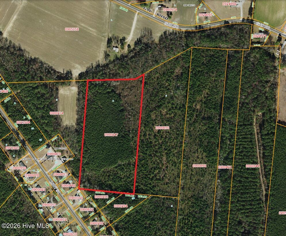 0 Off Gay Road Walstonburg, NC 27888 - Photo 11 of 11 GIS