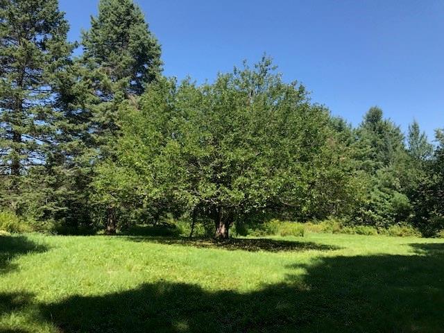 391 Board Eddy Road Dover-Foxcroft, ME 04426 - Photo 6 of 32 Photo