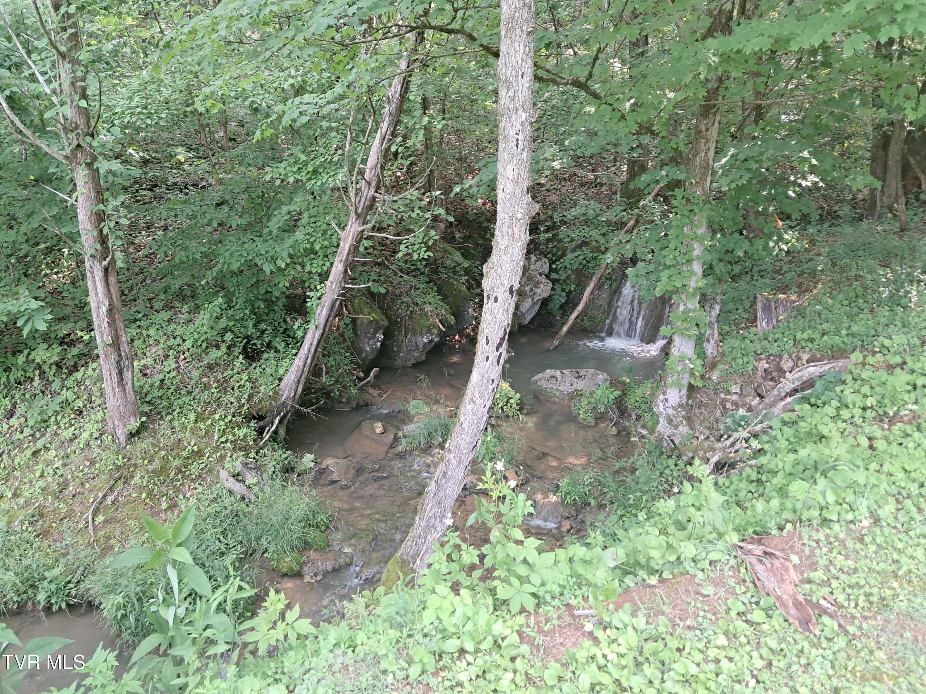 860 Bales Road Mosheim, TN 37818 - Photo 18 of 54 20250531_120749