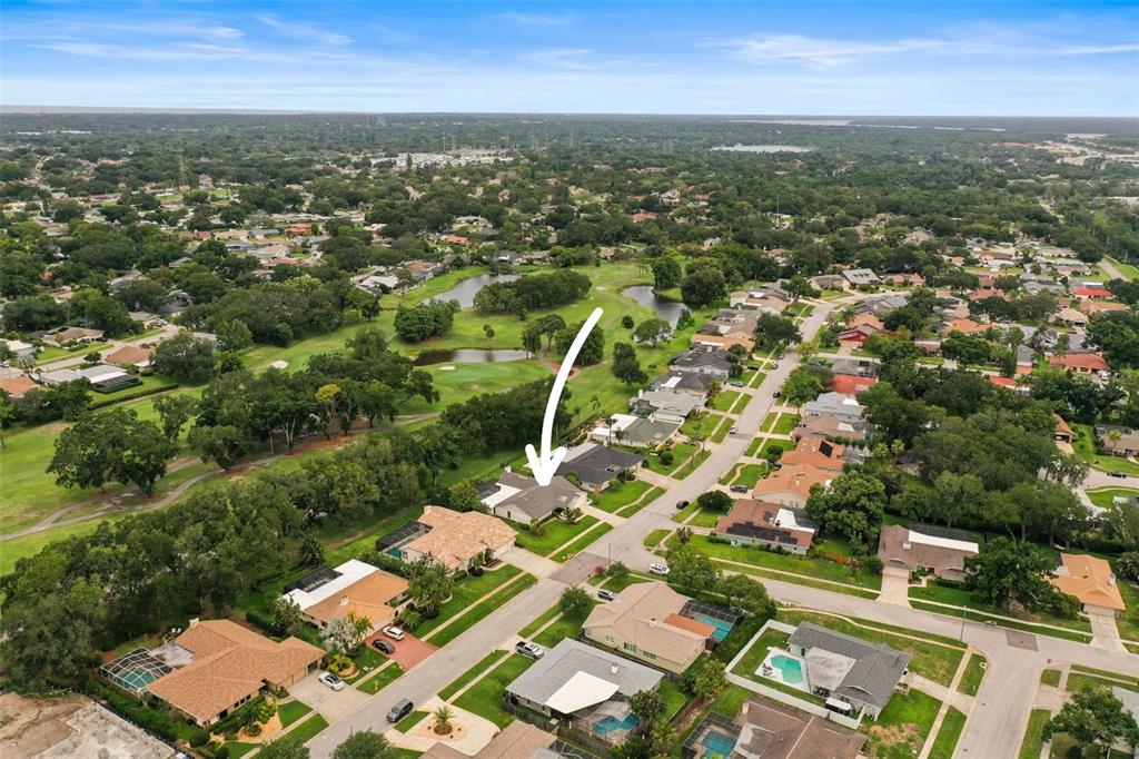 3230 Sandy Ridge Drive Clearwater, FL 33761 - Photo 5 of 9
