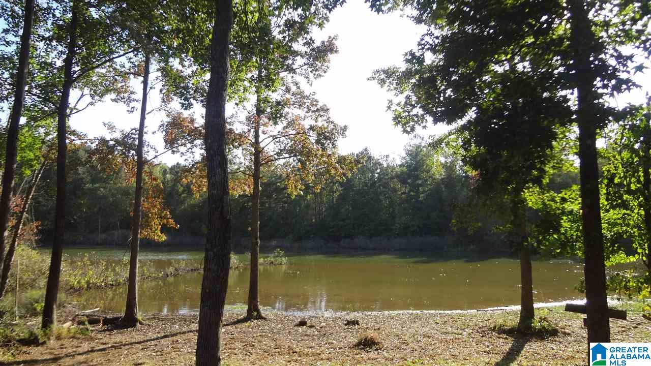 Lot #7 Lost Creek Cove Road, Unit 7 Delta, AL 36258 - Photo 2 of 14