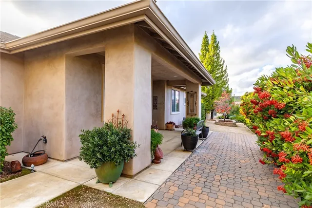 a view of a house with potted plants