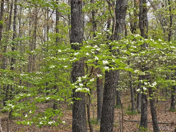 $85,000 | Tract N Greatview Lane, Lebanon, MO 65536