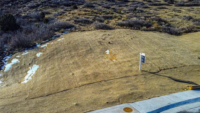 a view of a house with a yard and potted plants