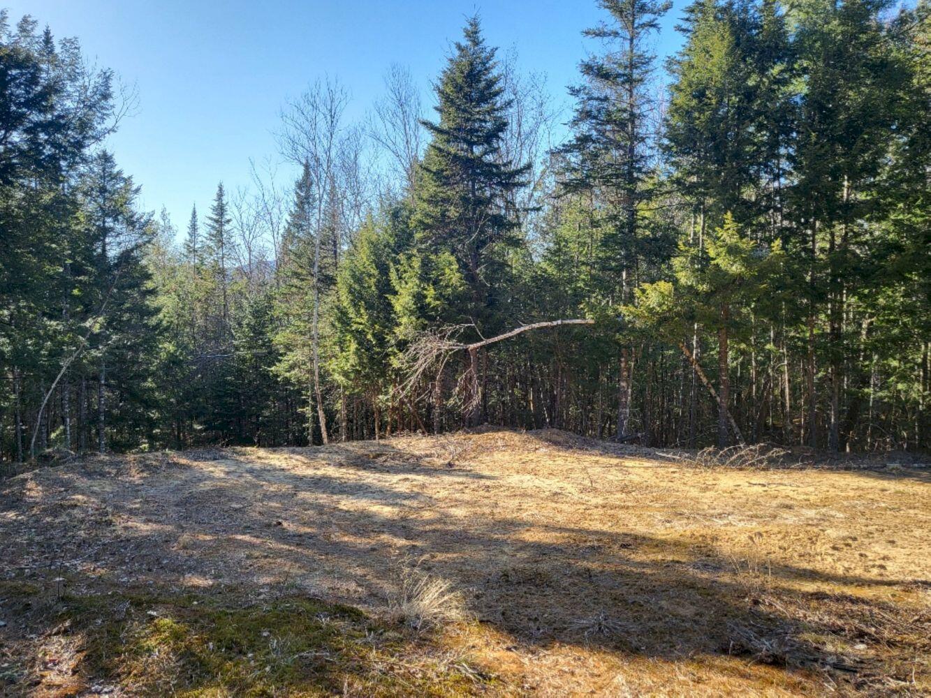 Lot 18 L15-3 Coburn Road Carthage, ME 04224 - Photo 7 of 16 20240422_171146_resized_result