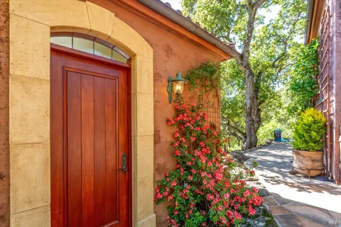 a flower plants in front of a door