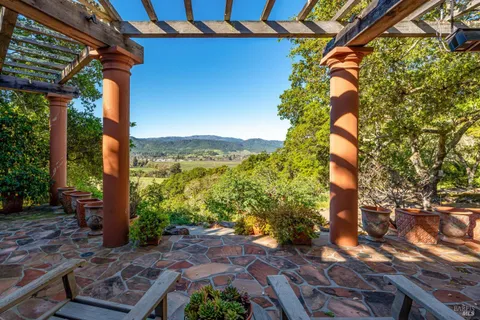 a view of a backyard with plants