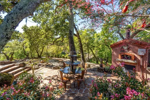 a view of outdoor space with garden