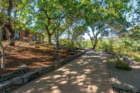 a view of a yard with plants and trees