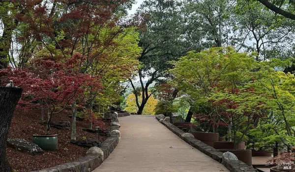 a backyard of a house with lots of trees