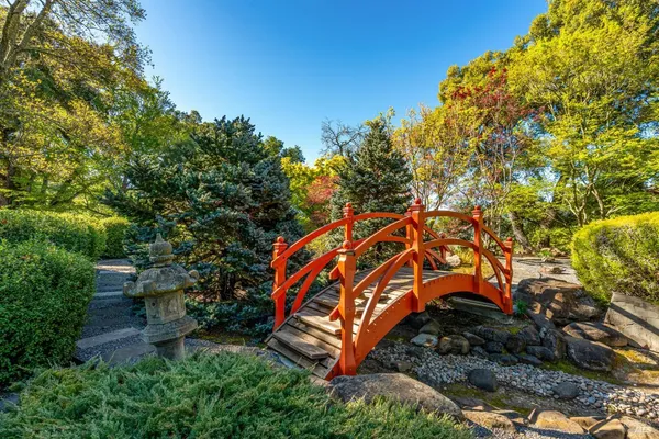 a view of outdoor space yard and patio