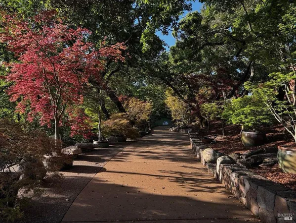 a view of yard with flowers and flowers