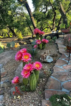 $5,250,000 | 5975 Silverado Trail, Napa, CA 94558