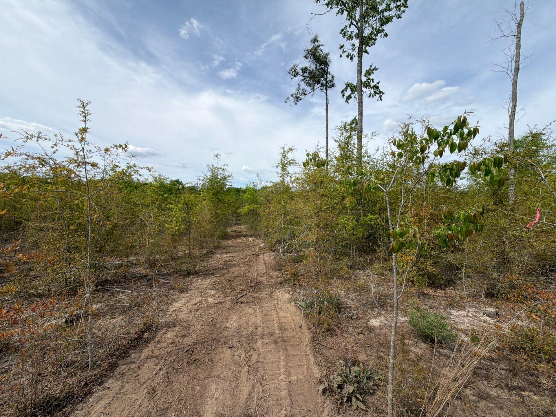 6 Rogers Cemetery Road, Unit RRF 6 Salley, SC 29137 - Photo 18 of 19