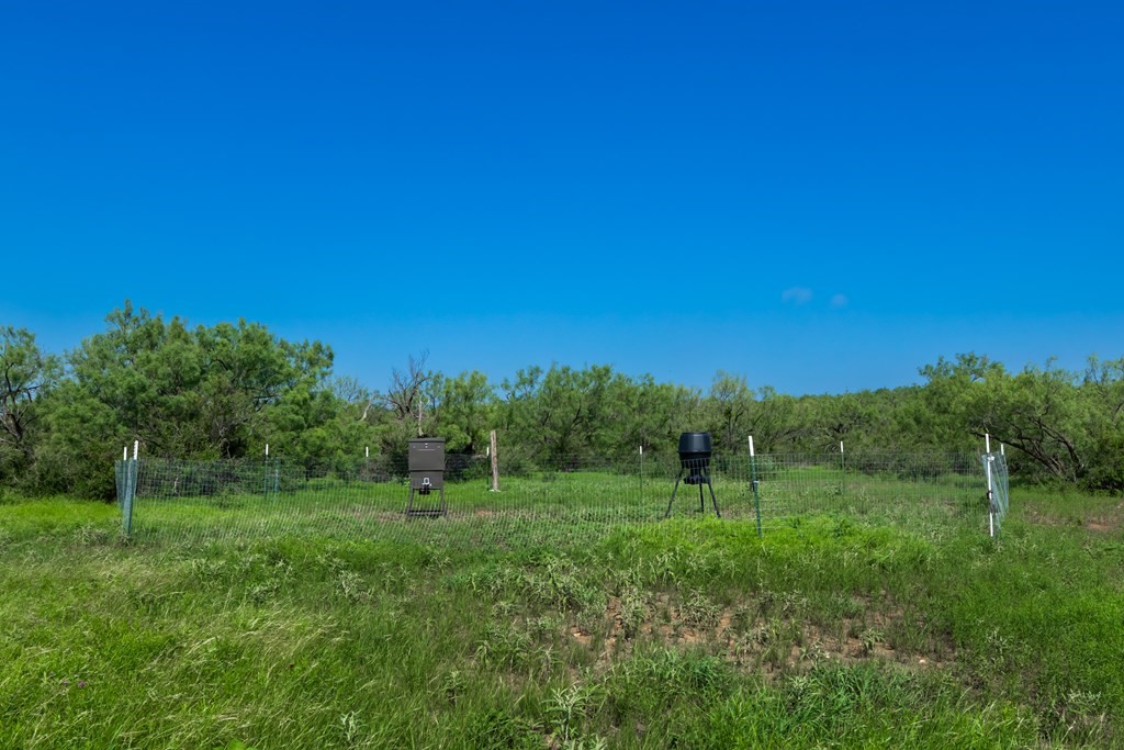 88291 Suaa Rd Well Lohn, TX 76852 - Photo 18 of 44 a view of a grassy area with an trees