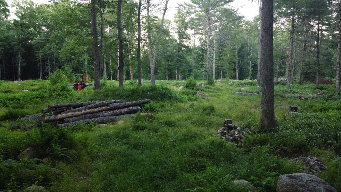 28 Paris Olney Hopkins Road Foster, RI 02825 - Photo 11 of 11