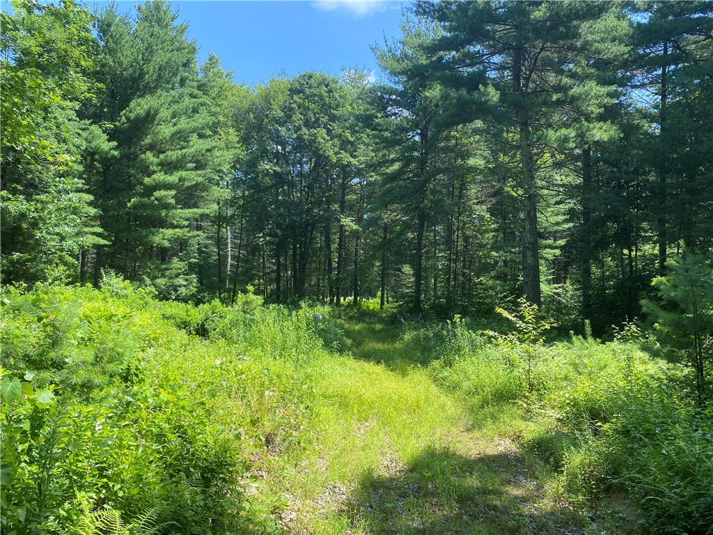 28 Paris Olney Hopkins Road Foster, RI 02825 - Photo 2 of 11