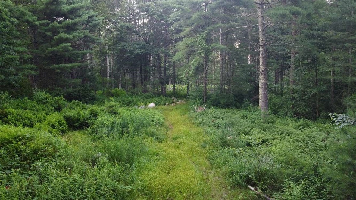 28 Paris Olney Hopkins Road Foster, RI 02825 - Photo 8 of 11