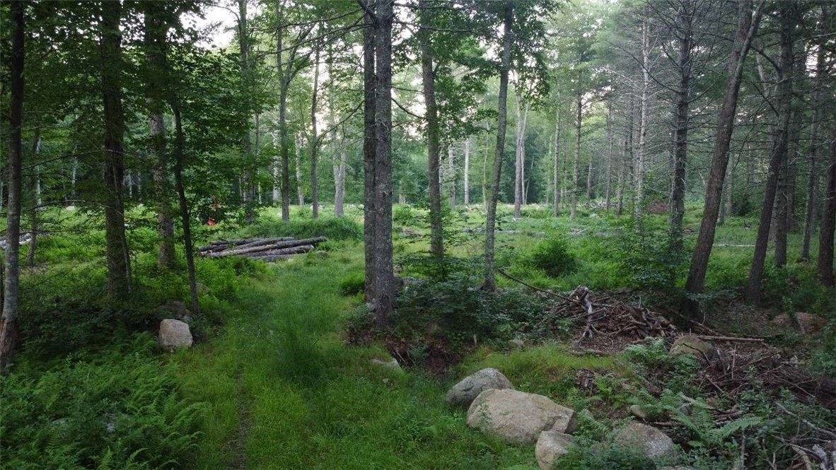 28 Paris Olney Hopkins Road Foster, RI 02825 - Photo 10 of 11
