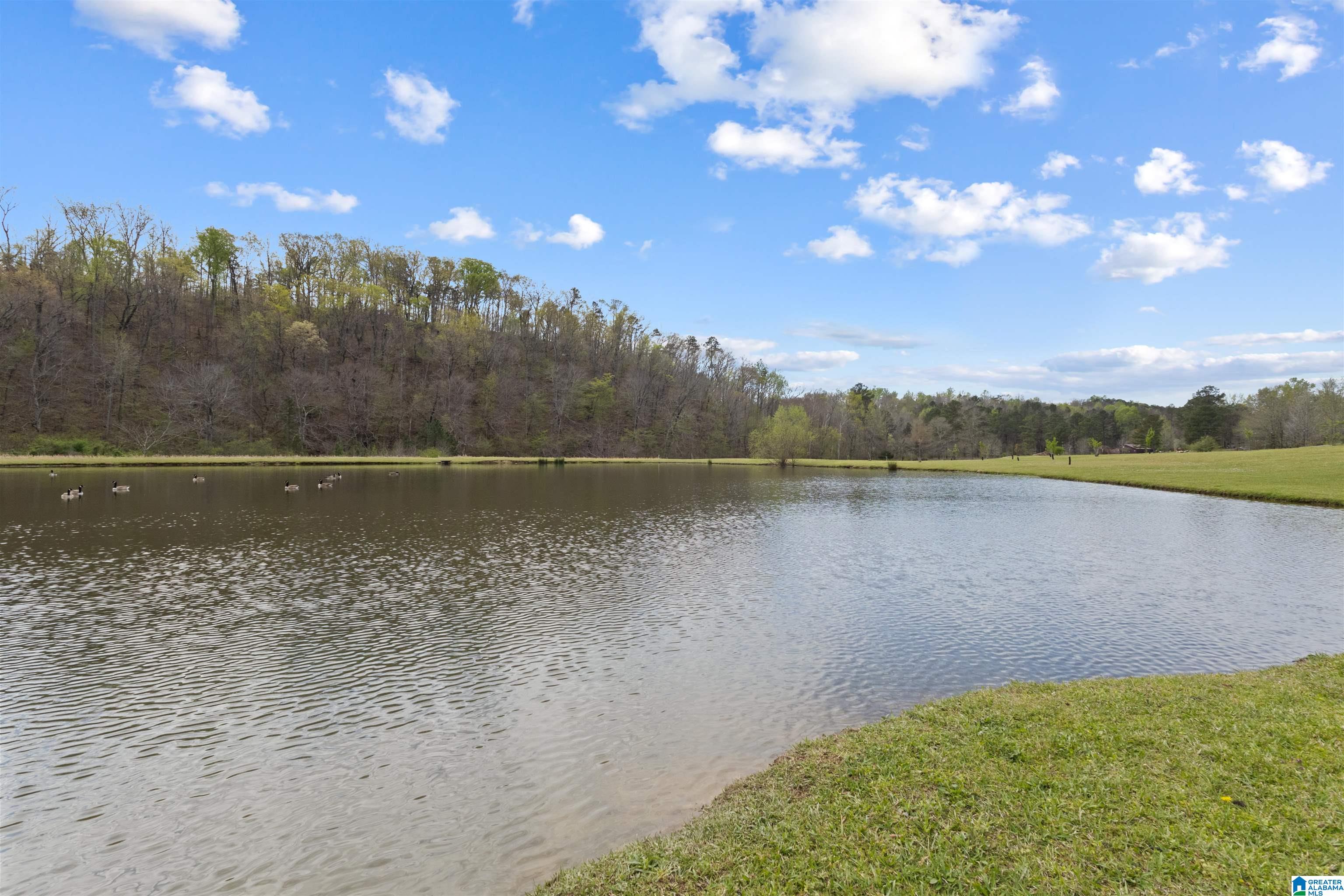 1502 Possum Trot Road Piedmont, AL 36272 - Photo 34 of 42