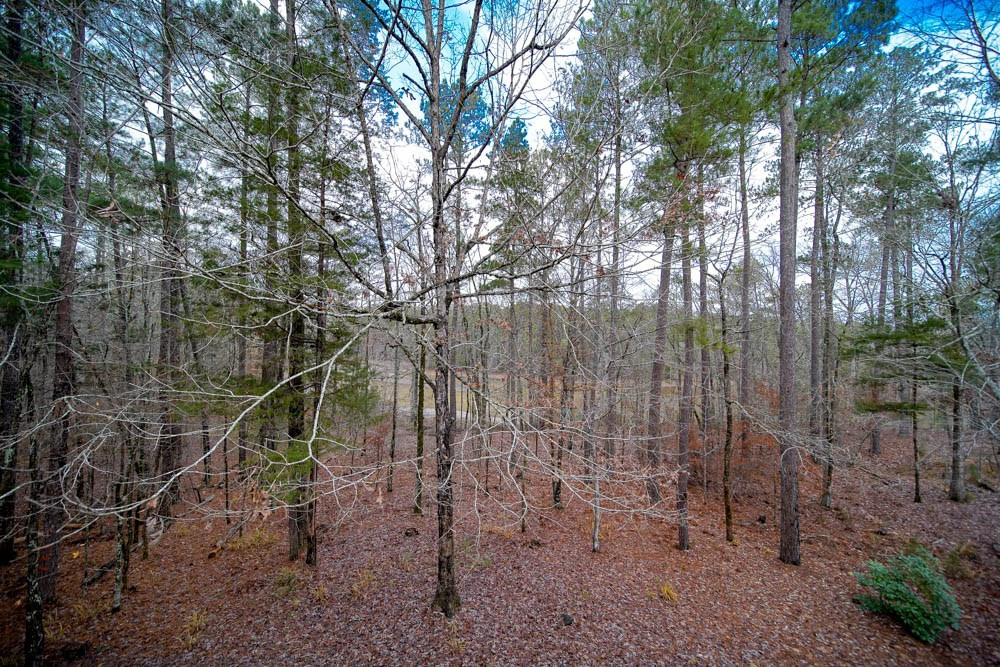 206 Ridge Pine Place McCormick, SC 29835 - Photo 31 of 35 Gallery Image 31