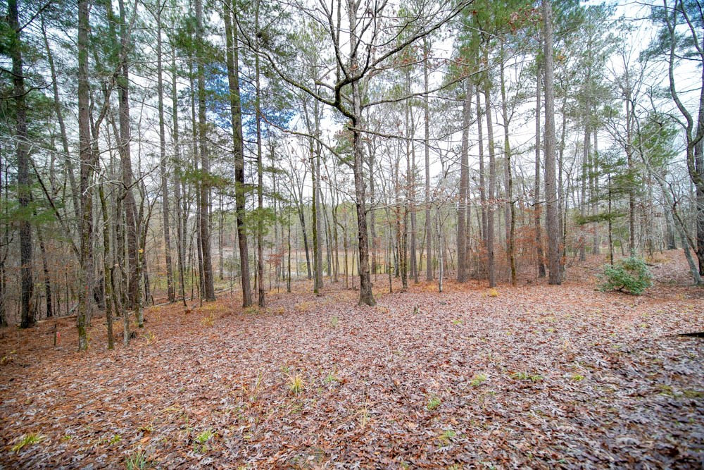 206 Ridge Pine Place McCormick, SC 29835 - Photo 32 of 35 Gallery Image 32