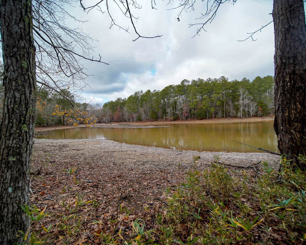 206 Ridge Pine Place McCormick, SC 29835 - Photo 35 of 35 Gallery Image 35
