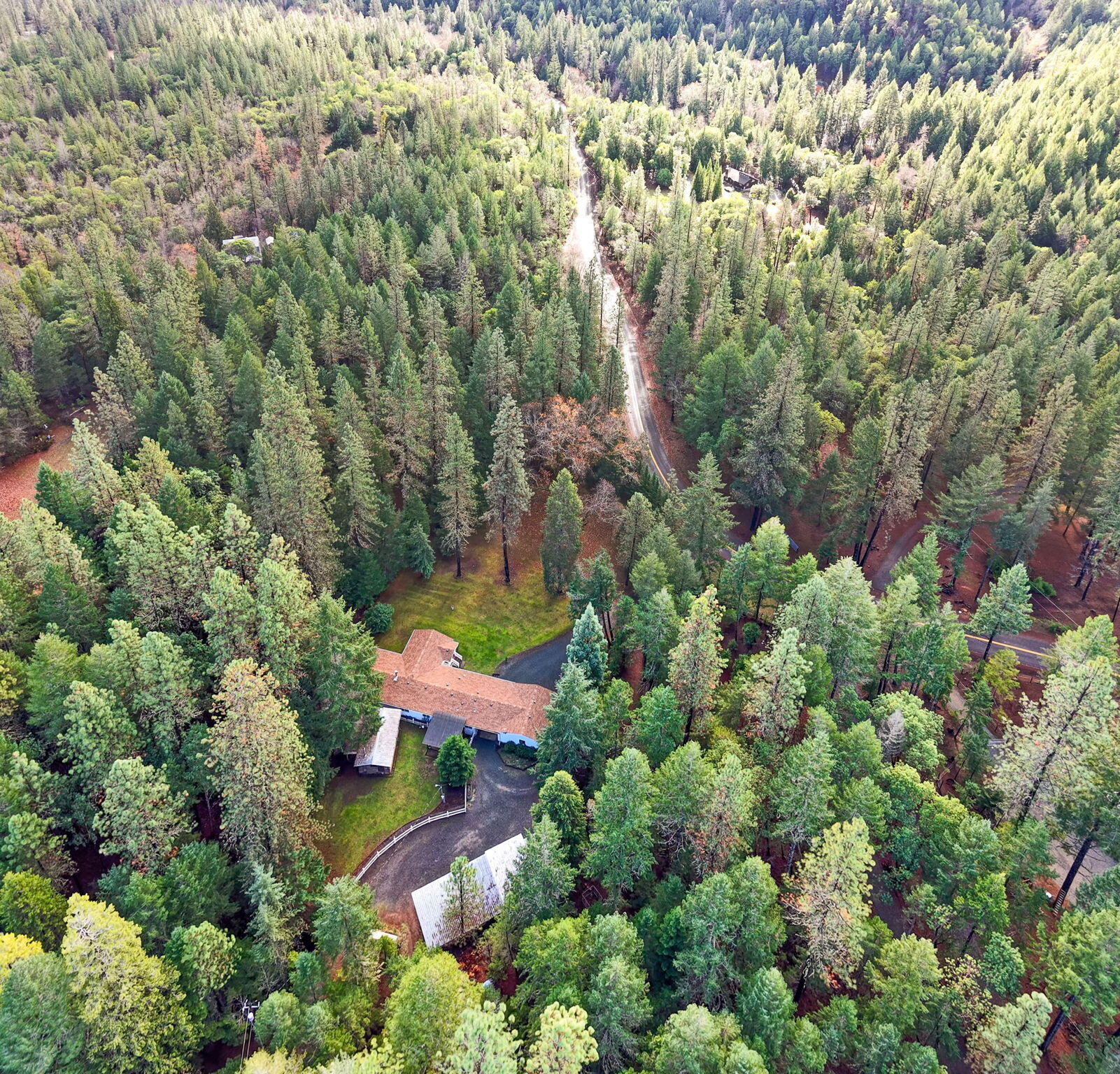 1600 Sykes Creek Road Rogue River, OR 97537 - Photo 39 of 47 ApxSCR (5)