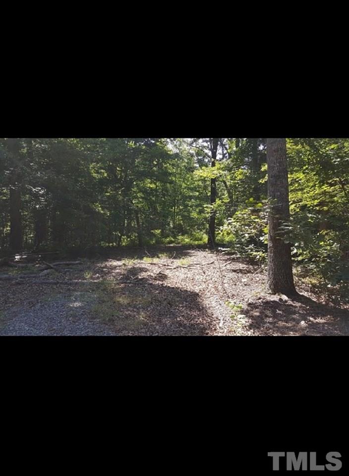 1616 Fire Tower Road Snow Camp, NC 27349 - Photo 5 of 8 Gallery Image 5